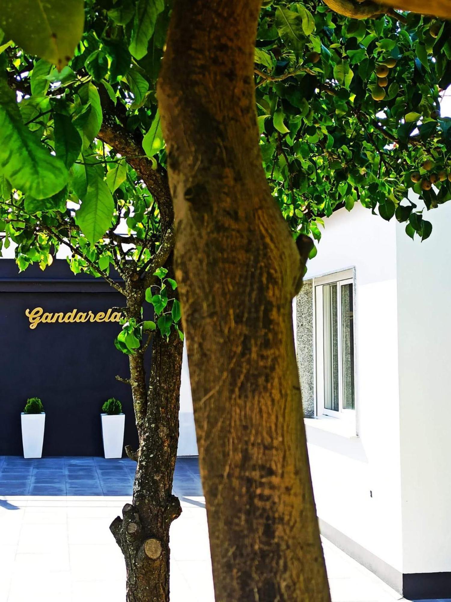 Apartamentos Vut Gandarela سانكسينكسو المظهر الخارجي الصورة